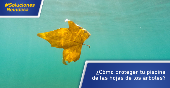 Com protegir la teva piscina de les fulles dels arbres a la tardor?