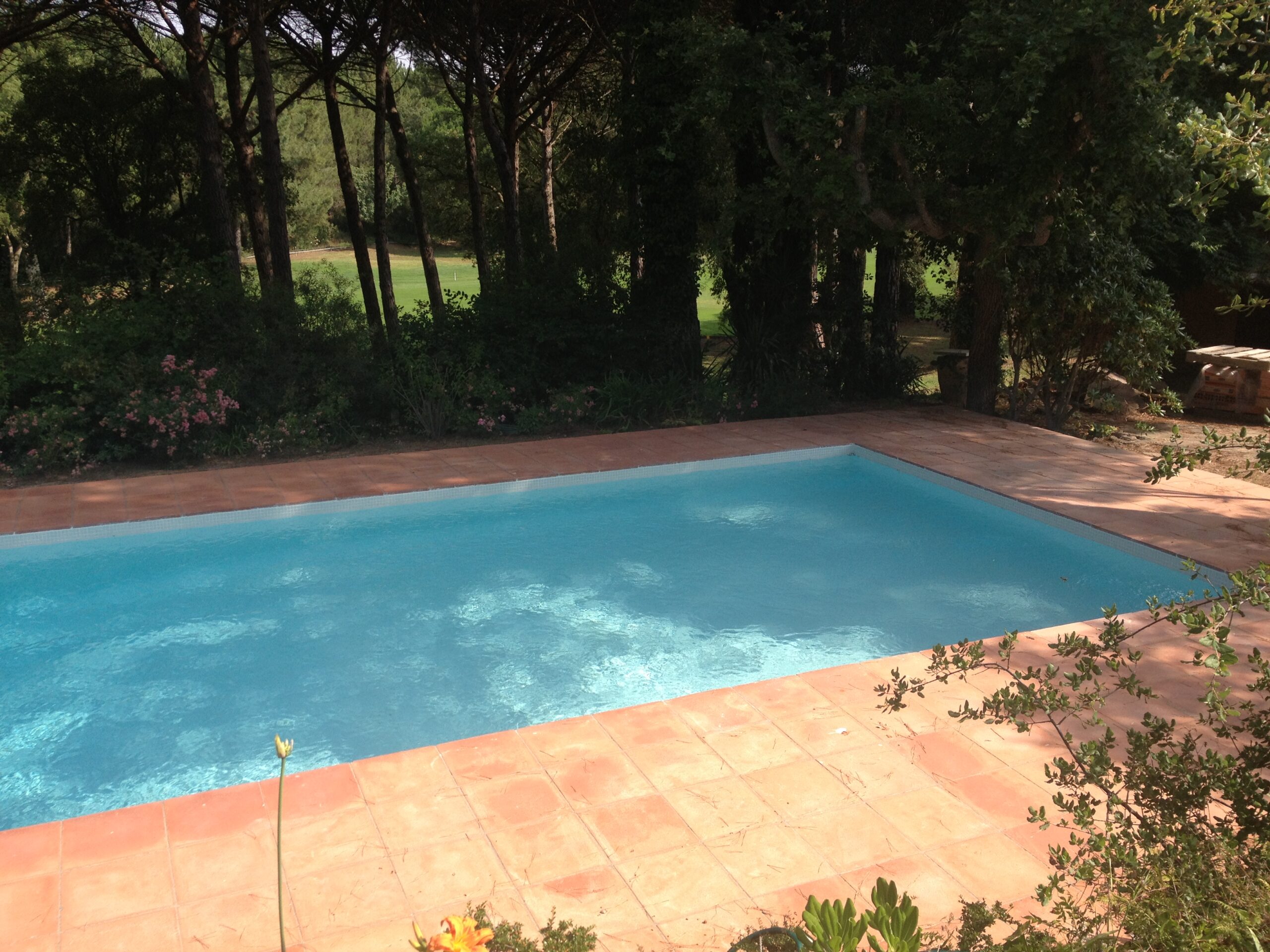 IMG_4803